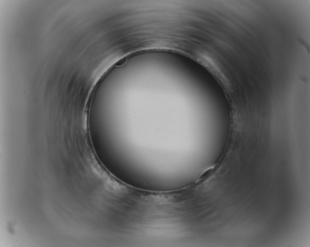 X0000103490900200809191919