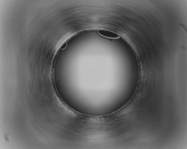 X0000103490901200809191919