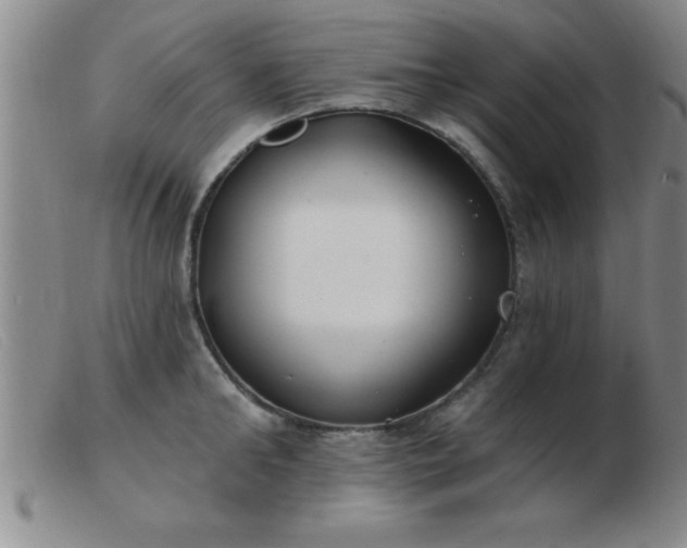 X0000103490902200809191919