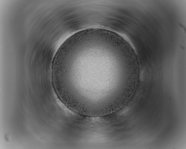 X0000103490903200809191919