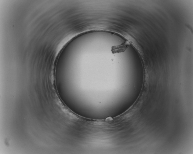 X0000103490904200809191919