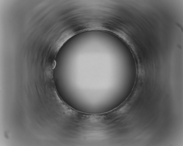 X0000103490905200809191919