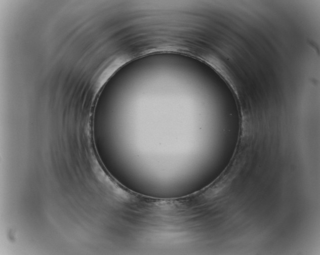 X0000103490906200809191919