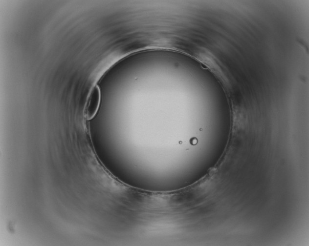 X0000103490908200809191919