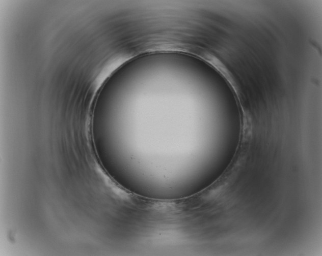 X0000103490909200809191919