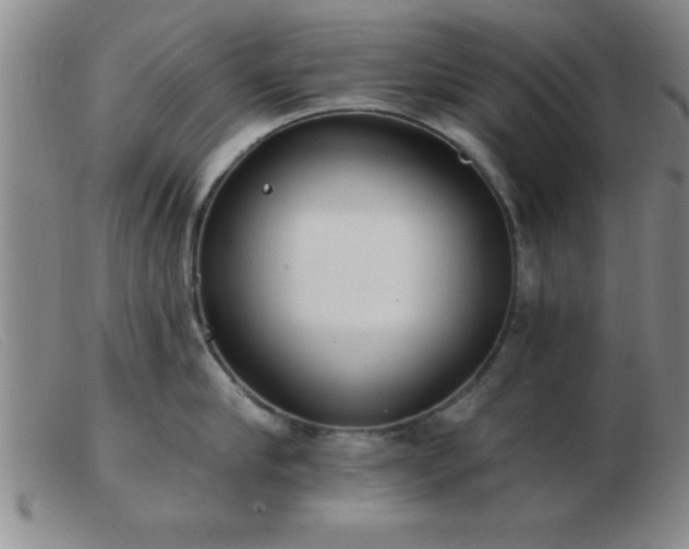 X0000103490910200809191919