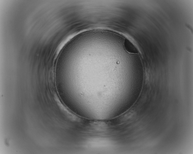 X0000103490911200809191919