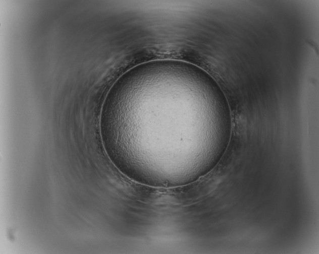 X0000103490913200809191918