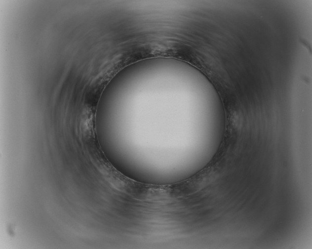 X0000103490914200809191918