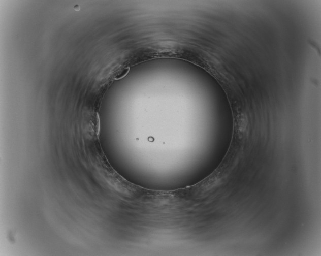 X0000103490916200809191918