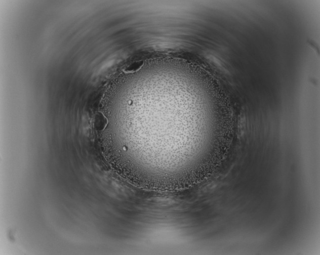 X0000103490917200809191918