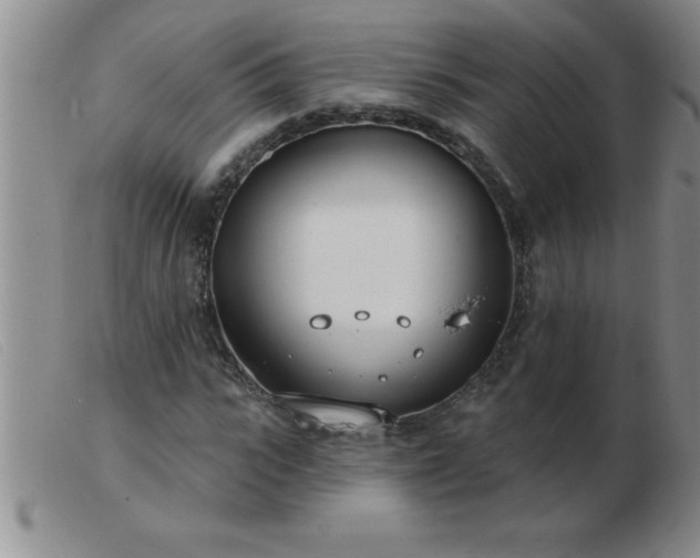 X0000103490919200809191918