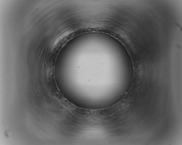 X0000103490920200809191918