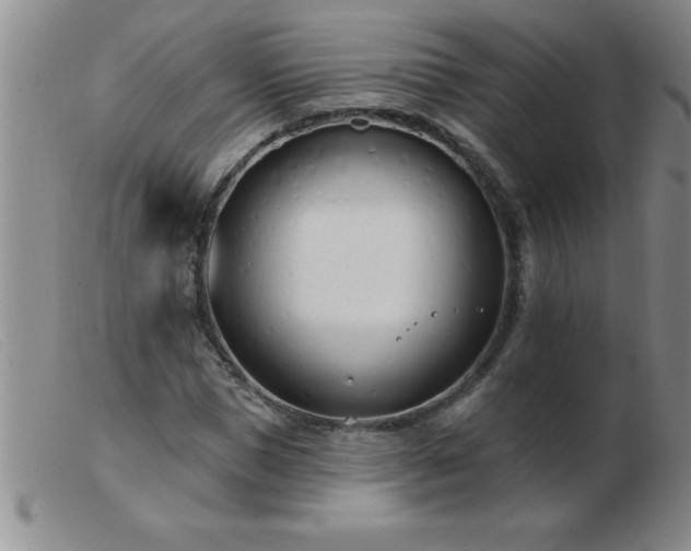 X0000103490921200809191918