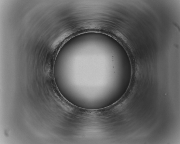 X0000103490922200809191918