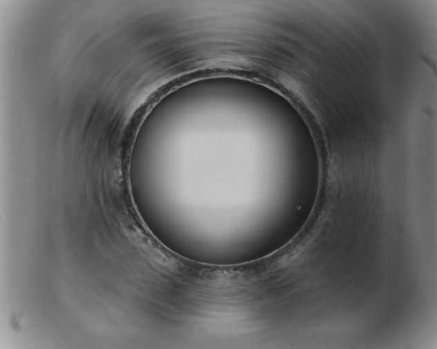 X0000103490923200809191918