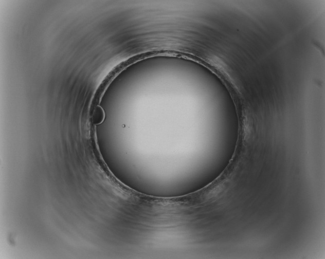 X0000103490924200809191919