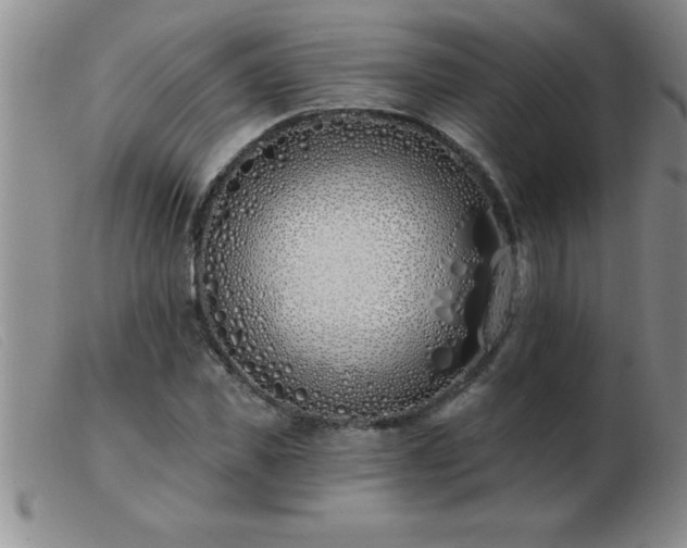 X0000103490925200809191919