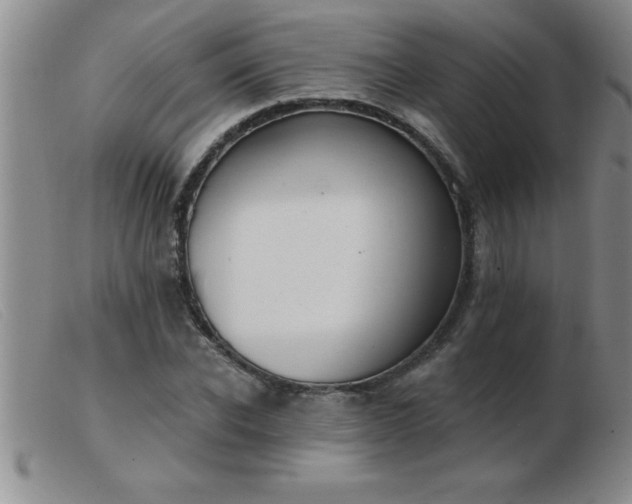 X0000103490926200809191919