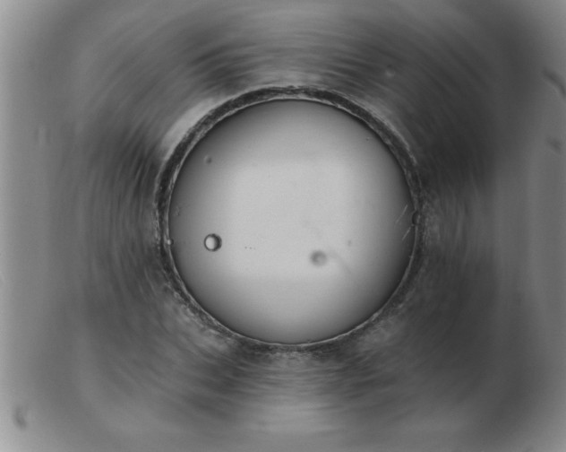 X0000103490927200809191919