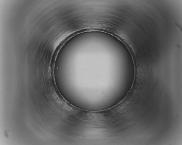 X0000103490928200809191919