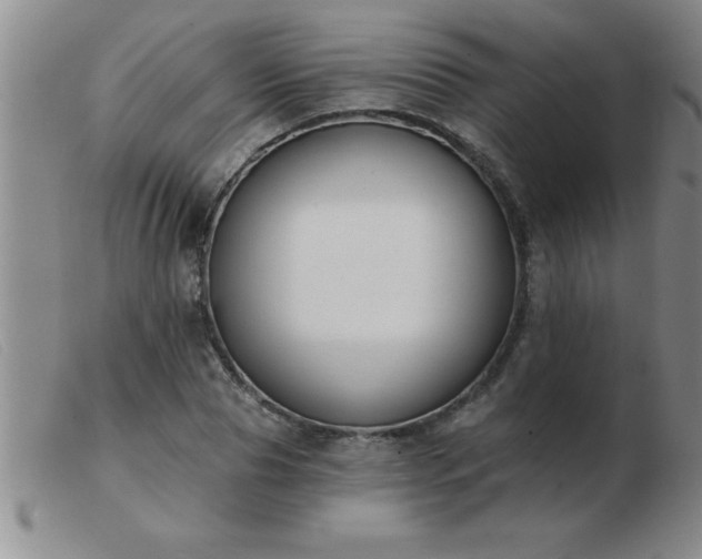 X0000103490929200809191919