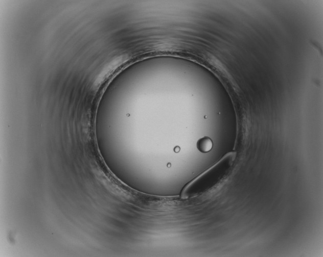 X0000103490930200809191919