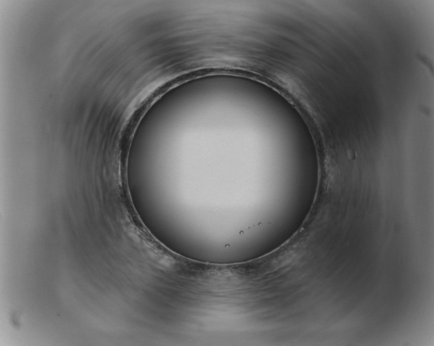 X0000103490931200809191919