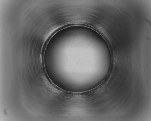 X0000103490932200809191919