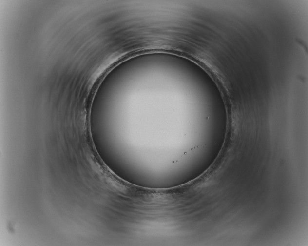 X0000103490933200809191919