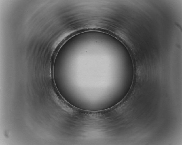 X0000103490934200809191919