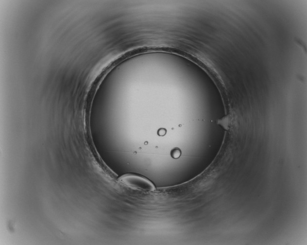 X0000103490935200809191919