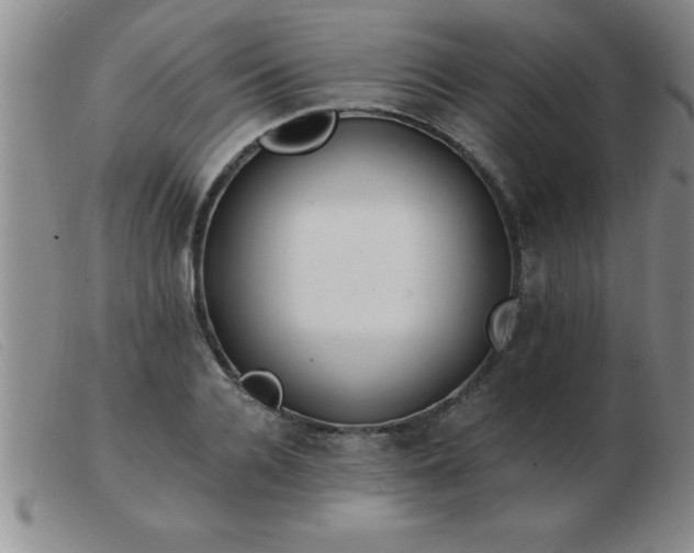 X0000103490936200809191919