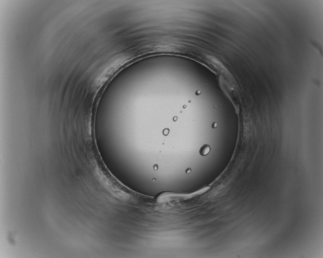 X0000103490938200809191919