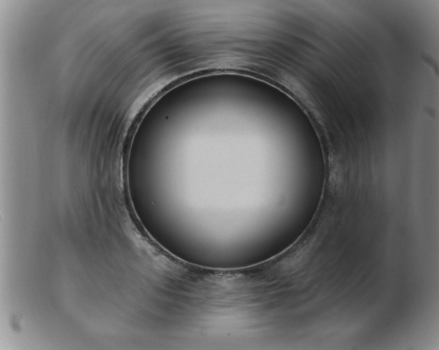 X0000103490939200809191919