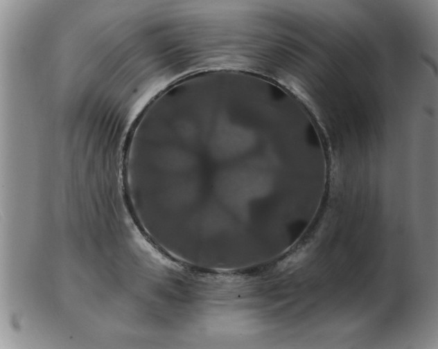 X0000103490941200809191919