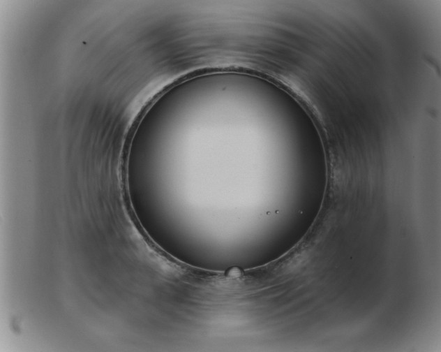 X0000103490943200809191919