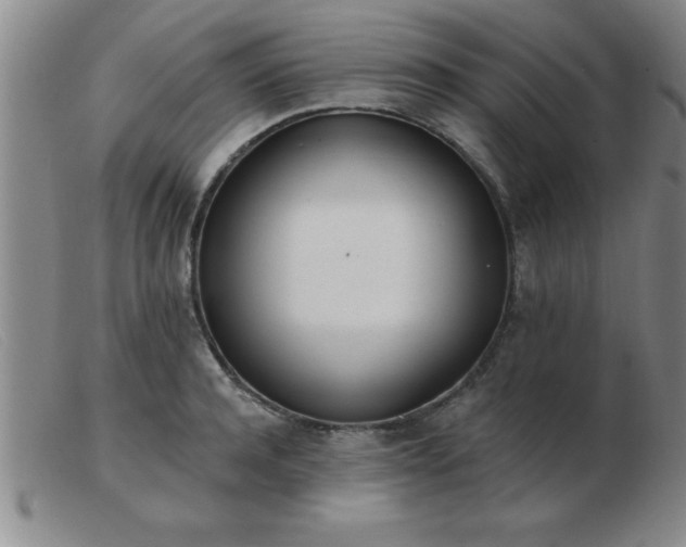 X0000103490944200809191919