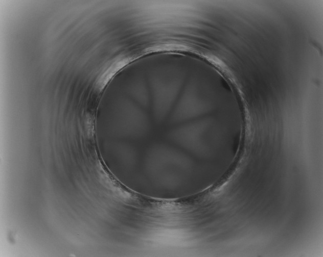 X0000103490945200809191919