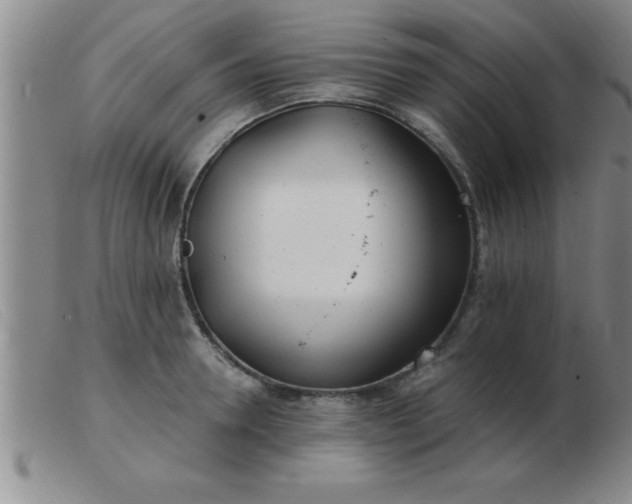 X0000103490946200809191919