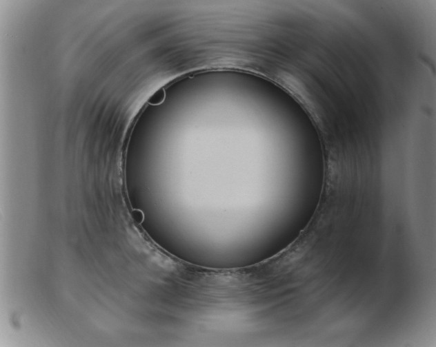 X0000103490948200809191919