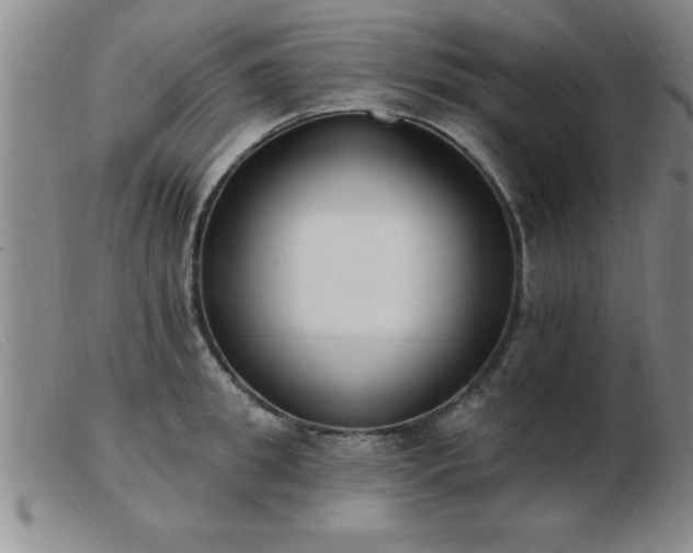 X0000103490949200809191919