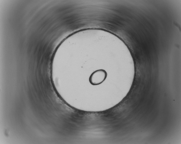 X0000103490950200809191919