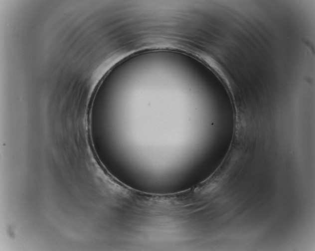 X0000103490951200809191919