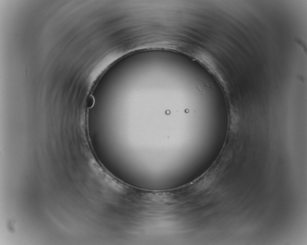 X0000103490952200809191919