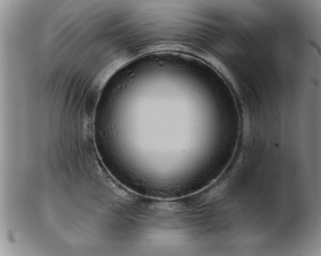 X0000103490953200809191919