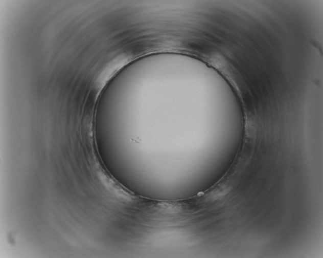 X0000103490954200809191919