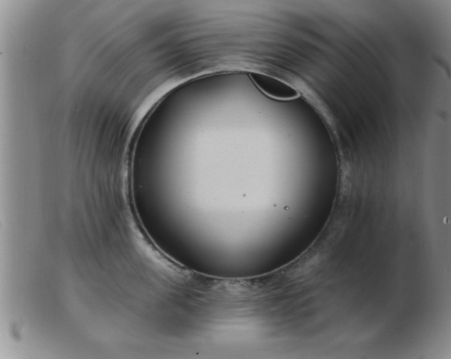 X0000103490955200809191919