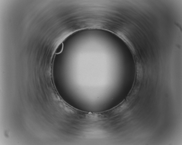 X0000103490956200809191919