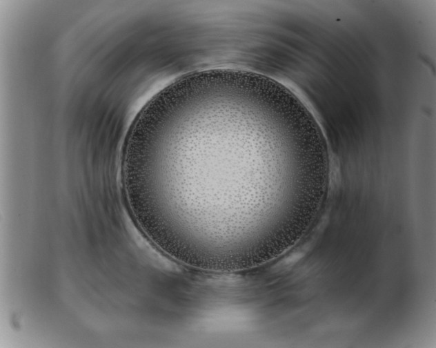 X0000103490957200809191919